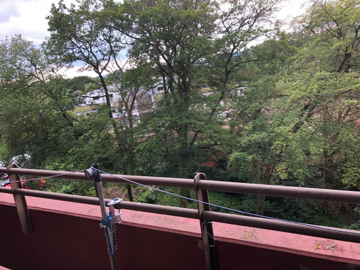 B506, Schoenes Und Gemuetliches Appartement ラーンシュタイン エクステリア 写真